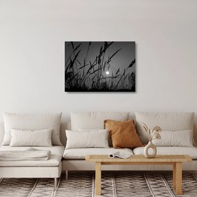 Sklenený obraz - Lúka so západom slnka (70x50 cm)