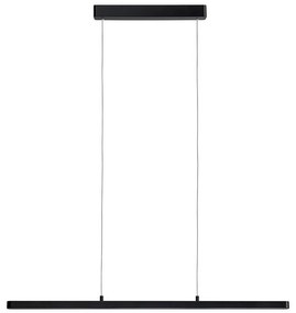 Paulmann 79694 - LED/40W Stmievateľný luster na lanku LENTO 230V