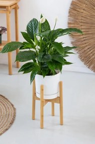 Stojan na kvety NEST