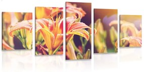 5-dielny obraz krásne kvitnúce kvety v záhrade - 100x50