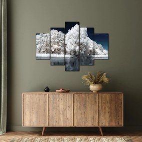 Obraz - Snehobiele stromy (150x105 cm)
