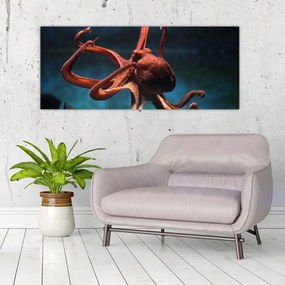 Obraz - Chobotnica (120x50 cm)