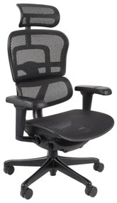 Ergonomické kreslo Ergohuman 2 Ultra BS Black