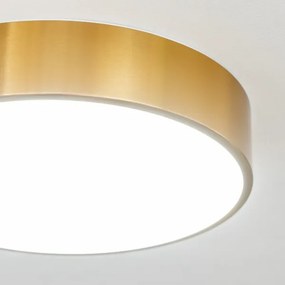 Brilagi - LED kúpeľňové stropné svietidlo POOL LED/24W/230V pr. 30 cm IP54 bronz