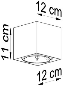 Bodové svietidlo BLAKE 1xGU10/40W/230V