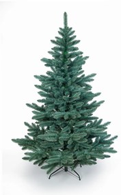Jedlička strieborná 150cm