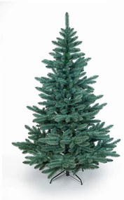 Jedlička strieborná 220cm