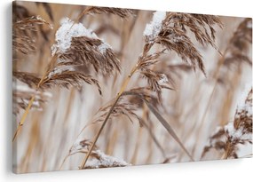 Obraz - Lipnica (90x60 cm)