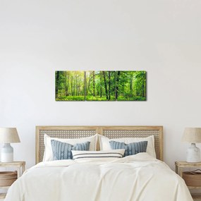 Obraz - Jarný listnatý les (s hodinami) (90x30 cm)