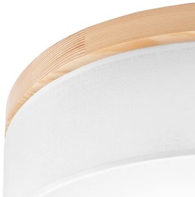 Brilagi - LED Stropné svietidlo BELLADONNA 3xE27/15W/230V pr. 50 cm biela/borovica