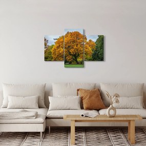 Obraz stromu (90x60 cm)