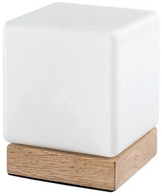 Rabalux 76003 - LED Stmievateľná stolná lampa PIRIT LED/1,2W/5V 3000K buk