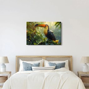 Obraz - Tukan (90x60 cm)