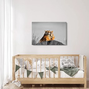 Obraz - Tigrice a jej mláďa, čiernobiely variant (90x60 cm)