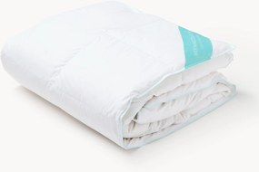 Páperový paplón Comfort, celoročný