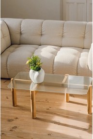 Konferenčný stolík so sklenenou doskou v prírodnej farbe 55x105 cm Kob – noo.ma