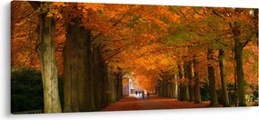 Obraz - Jeseň Alej stromov (120x50 cm)