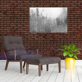 Obraz - Levanduľa (90x60 cm)