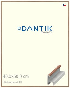 DANTIK rám na obraz 40x50 | ALU Dýha ořech lak matný (Plexi Čiré)