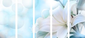 5-dielny obraz biely kvet ľalie na abstraktnom pozadí - 200x100