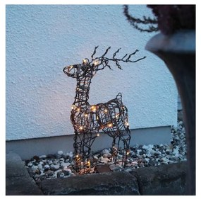 Eglo 411137 - LED Vonkajšia vianočná dekorácia VIXEN 24xLED/0,06W/3xAA IP44