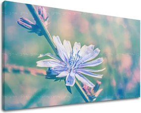 Obraz na stenu KVETY KV078E11 - 40x60 cm