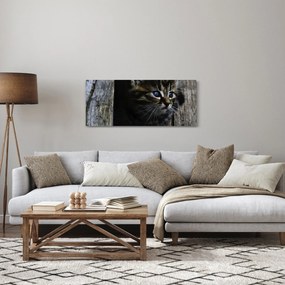 Obraz mačiatka (120x50 cm)