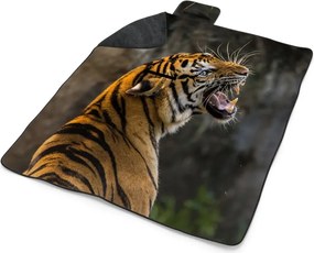 Sablio Plážová deka Revúci tiger: 200x140 cm