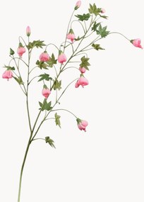 Rastlinná dekorácia Abutilon