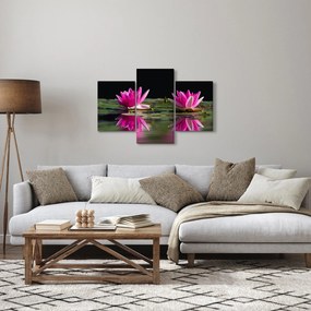 Obraz lekien na vode (90x60 cm)
