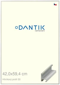 DANTIK rám na obraz 42x59,4 | ALU Dýha barevná šedá světlá (Plexi Čiré)