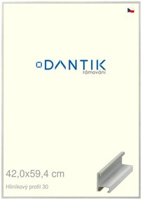 DANTIK rám na obraz 42x59,4 | ALU Dýha barevná šedá světlá (Plexi Čiré)