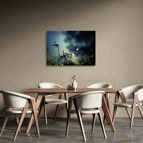 Sklenený obraz - Vážka za trblietavej noci (70x50 cm)
