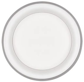 Solight WO768-G - LED Stmievateľné stropné svietidlo TREVISO LED/48W/230V + DO