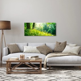 Obraz - Magická lúka plná púpav (120x50 cm)
