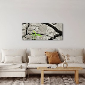Obraz - Praskliny (120x50 cm)