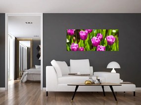 Obraz tulipánov na lúke (120x50 cm)