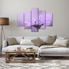 Obraz - Fialový kvet (150x105 cm)