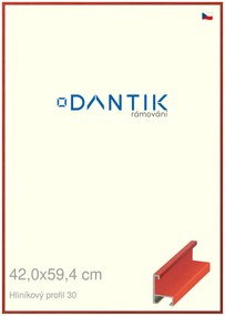 DANTIK rám na obraz 42x59,4 | ALU Dýha barevná červená třešeň (Plexi Čiré)