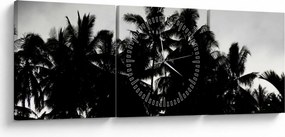 Obraz čiernobiely - palmy (s hodinami) (90x30 cm)