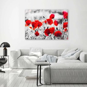 Gario Obraz na plátne Červené poľné maky Rozmery: 120 x 80 cm