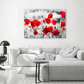 Gario Obraz na plátne Červené poľné maky Rozmery: 120 x 80 cm