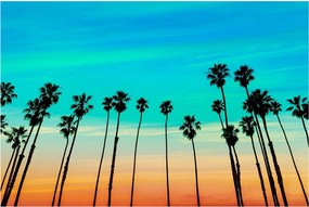 Obraz - Kalifornia (90x60 cm)