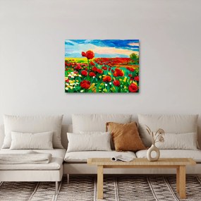 Obraz poľa s vlčími makmi (70x50 cm)