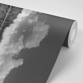 Originálna čiernobiela samolepiaca fototapeta letná príroda