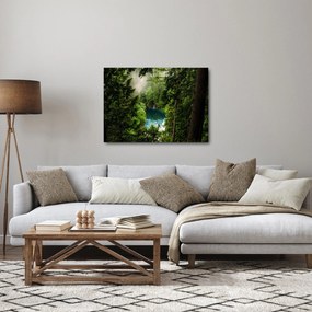 Obraz - Priezor medzi stromami (70x50 cm)