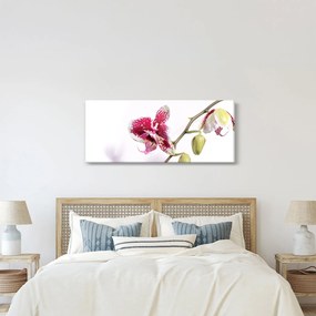 Obraz kvetu orchidey (120x50 cm)