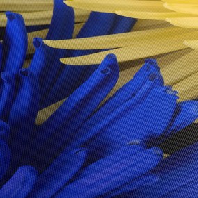 Obraz - detail kvetov (90x60 cm)
