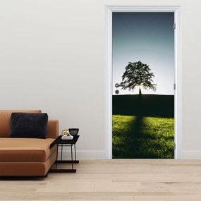 Fototapeta na dvere - Strom (95x205cm)