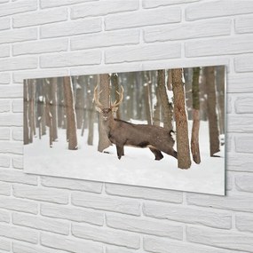 Sklenený obraz Jeleň zimné les 100x50 cm